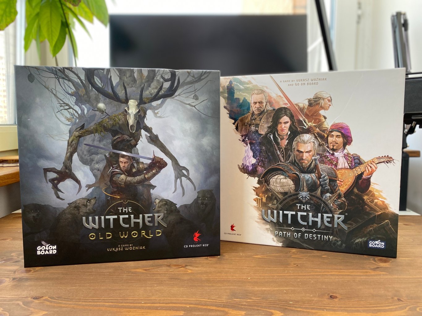 The Witcher: Path of Destiny